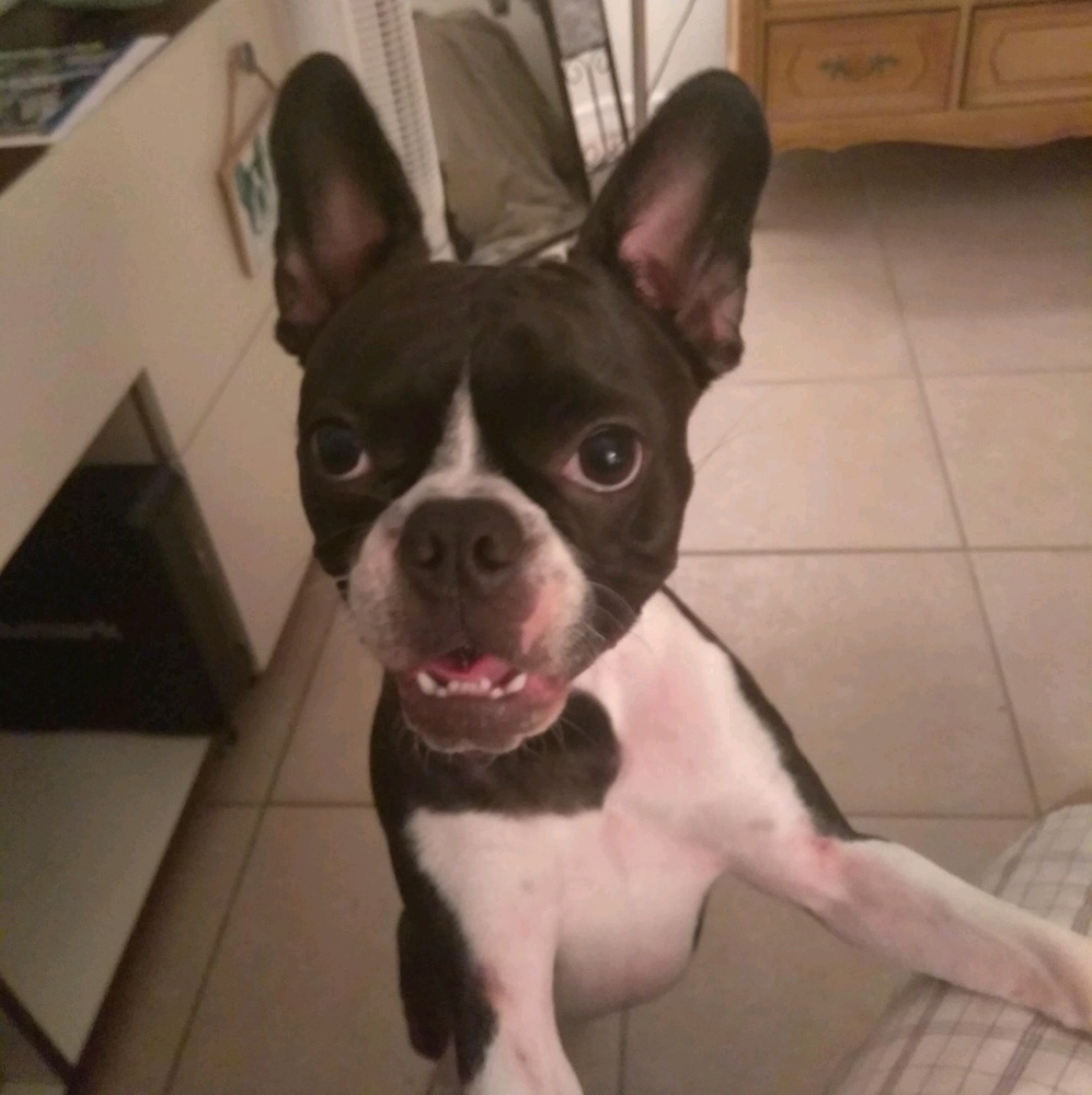 Meet your Posher, Luke